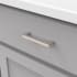 Lifestyle - Satin Nickel